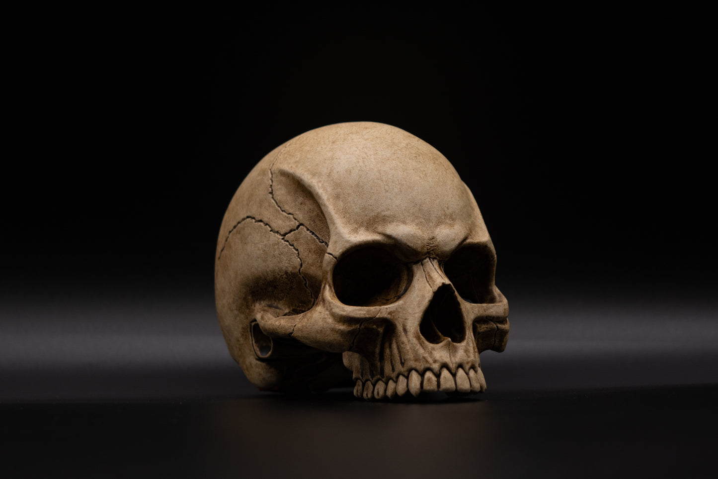 Mini Skull "Old Bones"