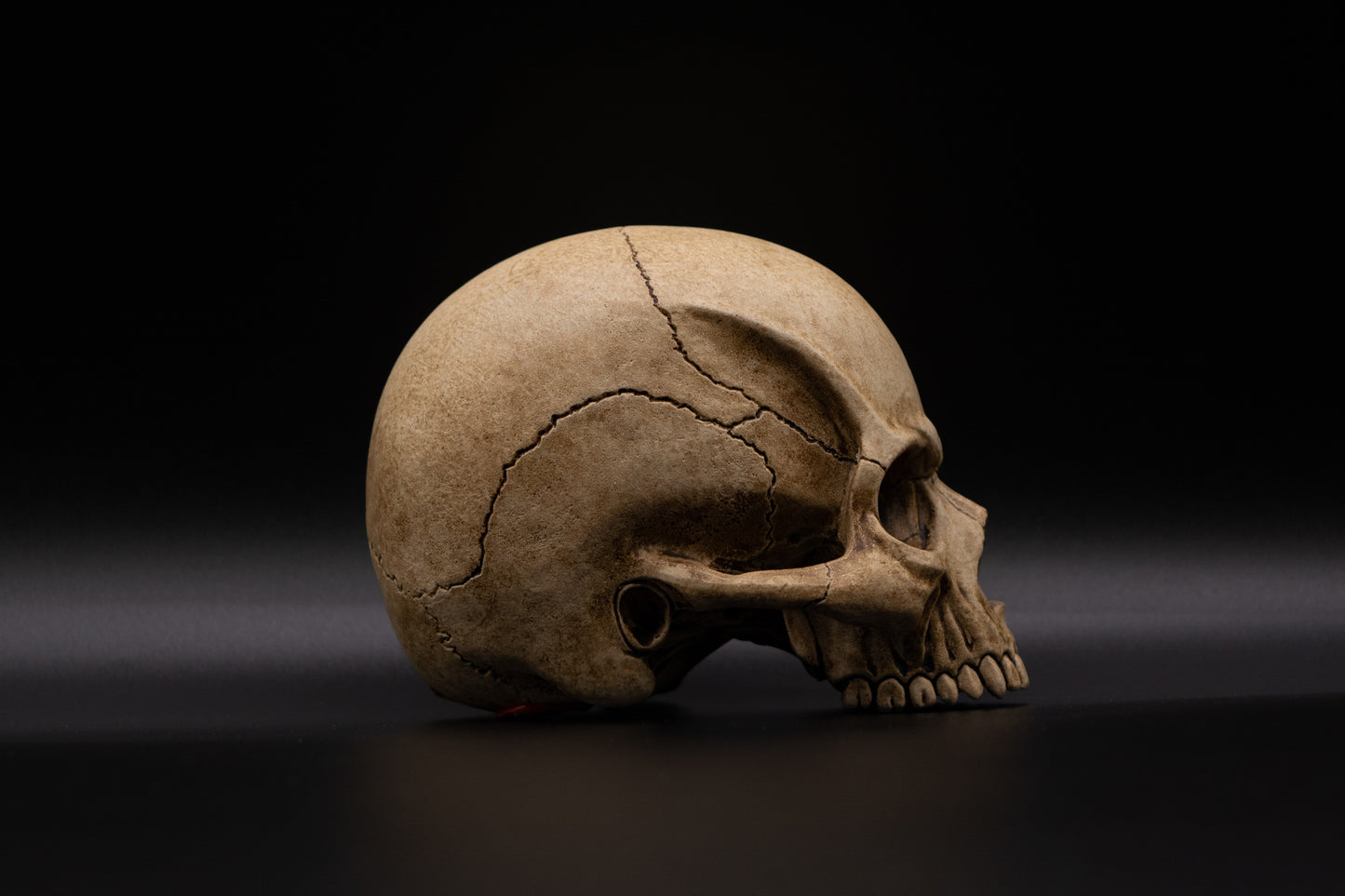 Mini Skull "Old Bones"
