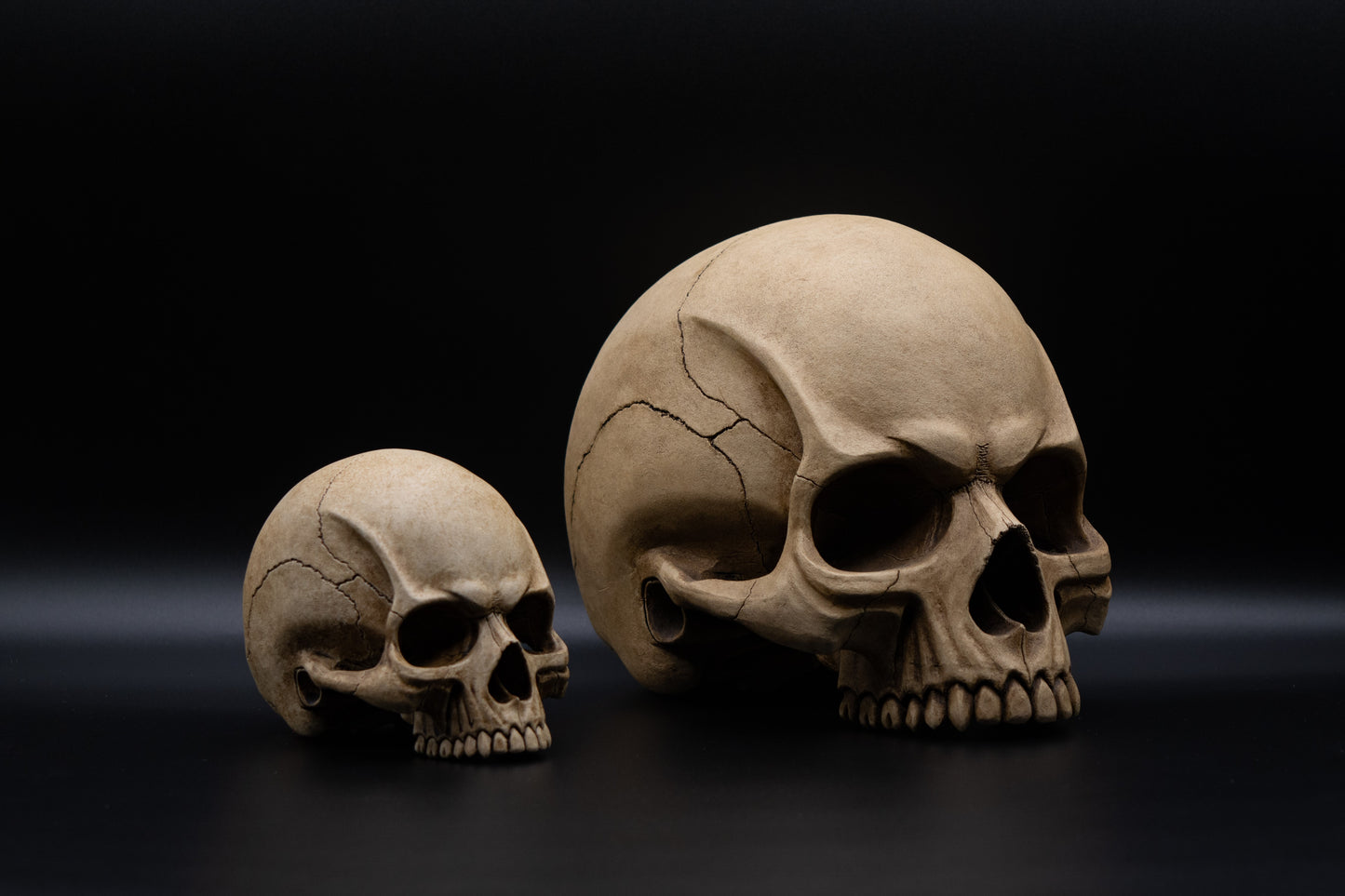 Mini Skull "Old Bones"