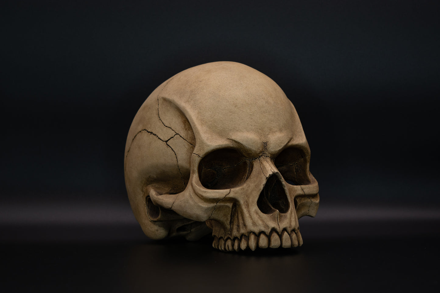 Angry Skull "Old Bones"
