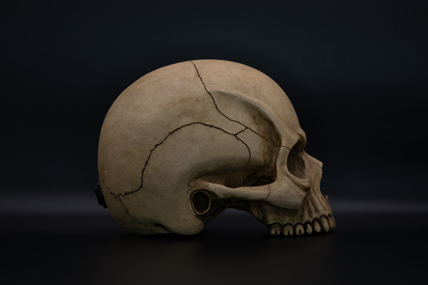 Angry Skull "Old Bones"