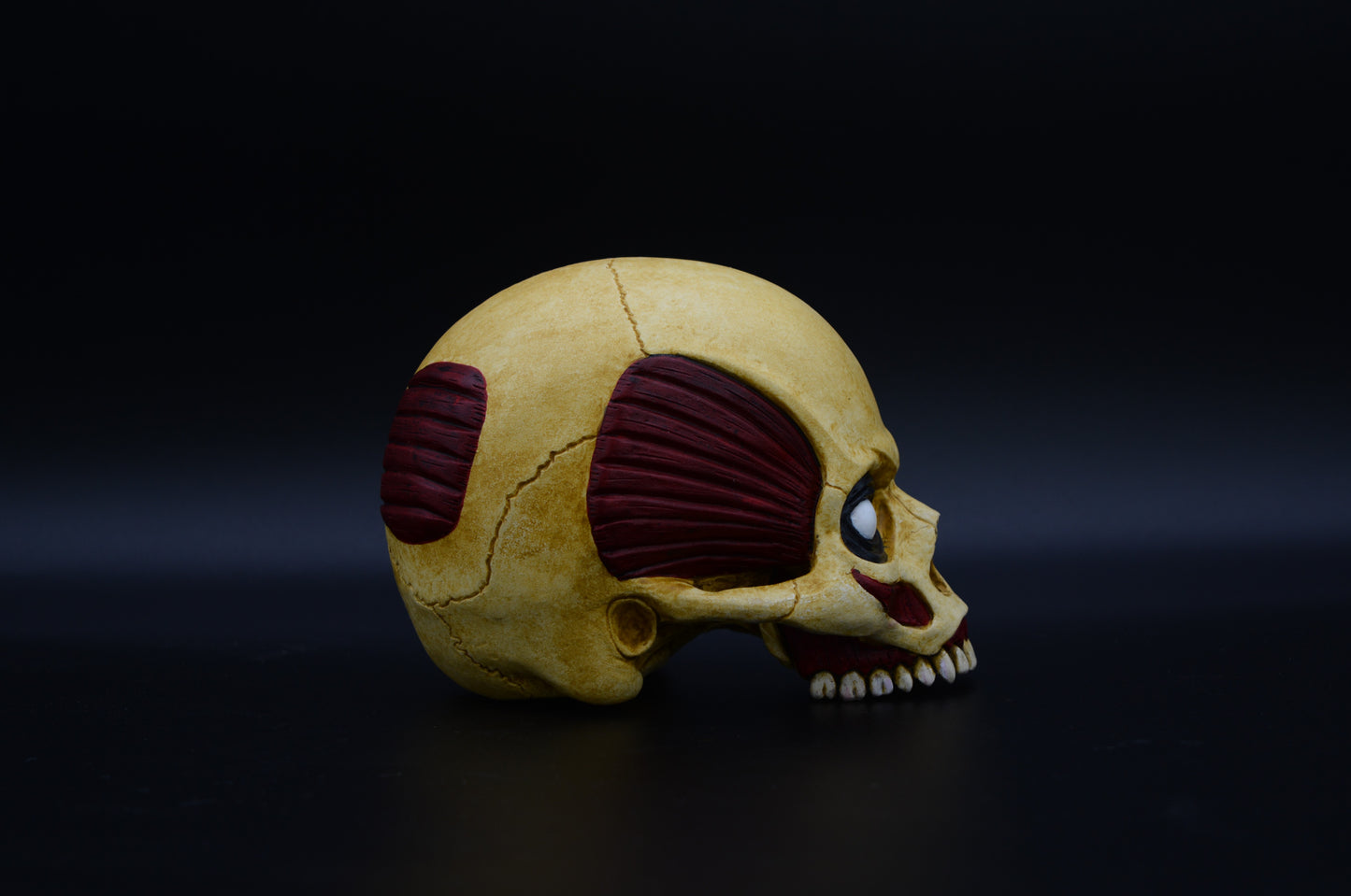 #02 Skull Series "Titan Colossal"
